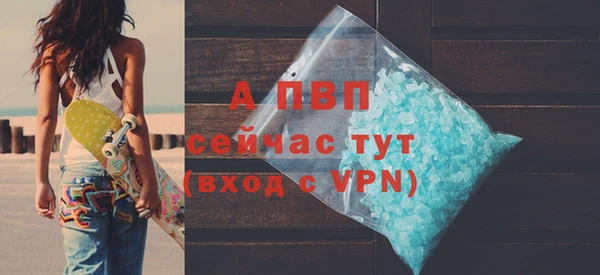 амф Богданович