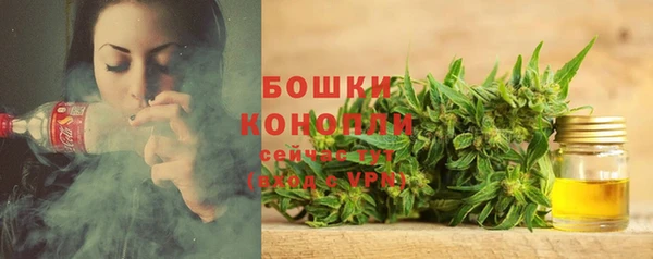 СК Богородск