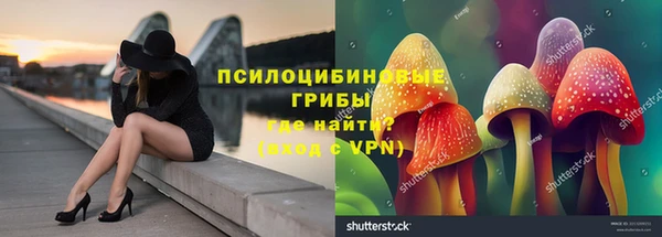 jwh Богородицк
