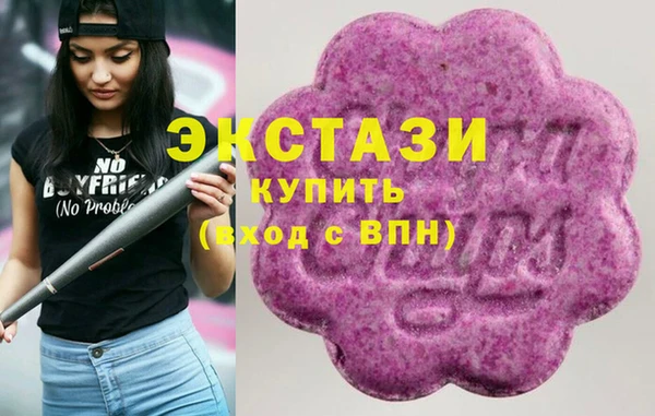 СК Богородск