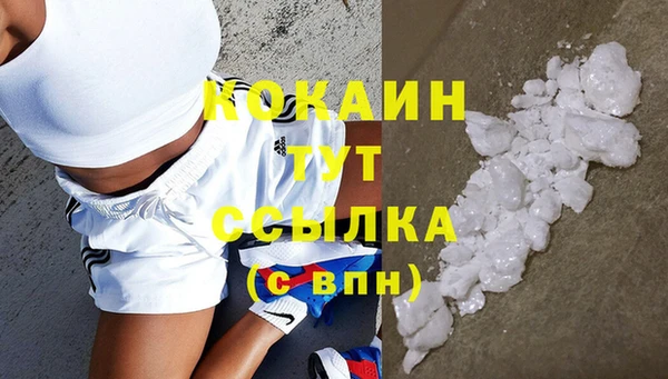 амф Богданович